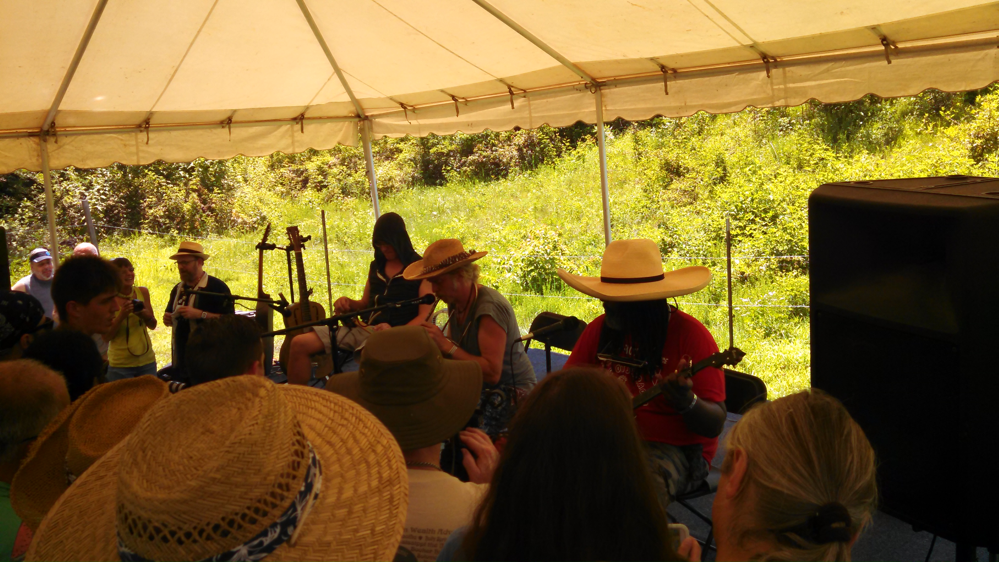 SouthMemphisStringBand2015-06-26NorthMississippiHillCountryPicnicWaterfordMS (3).jpg